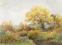 Henry John Sylvester Stannard - Greenfield Moor